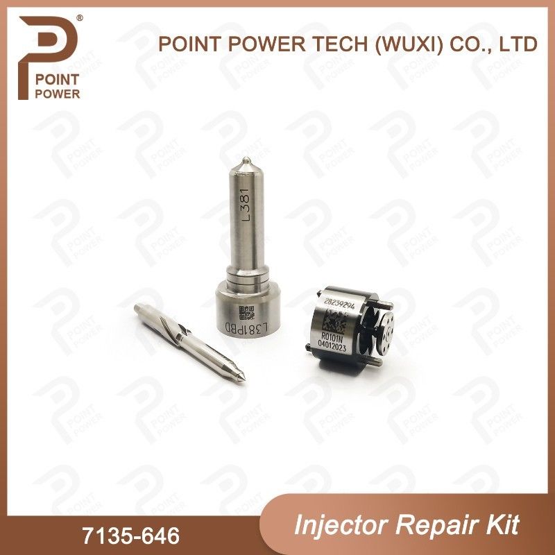 7135-646 デルフィー注射器の修理キット 注射器28232251/ R03101D/ R05102Dノズル・バルブキット