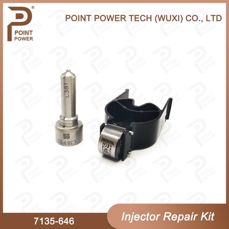 7135-646 デルフィー注射器の修理キット 注射器28232251/ R03101D/ R05102Dノズル・バルブキット