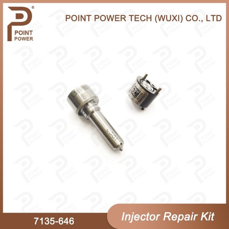 7135-646 デルフィー注射器の修理キット 注射器28232251/ R03101D/ R05102Dノズル・バルブキット
